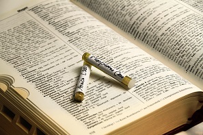 Buch Fotolia 62890192 GöttePhotoArtBuchGlobuli 297