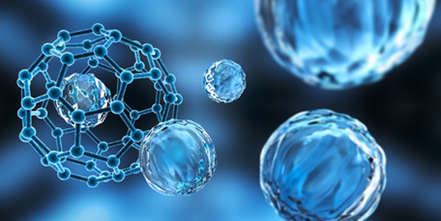 Schaden Nanopartikel der Darmflora?